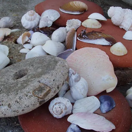 别墅 Lofoten - The Saltery