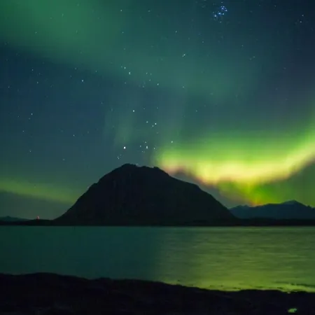 别墅 Lofoten - The Saltery Kvalnes (Vestvagoy)