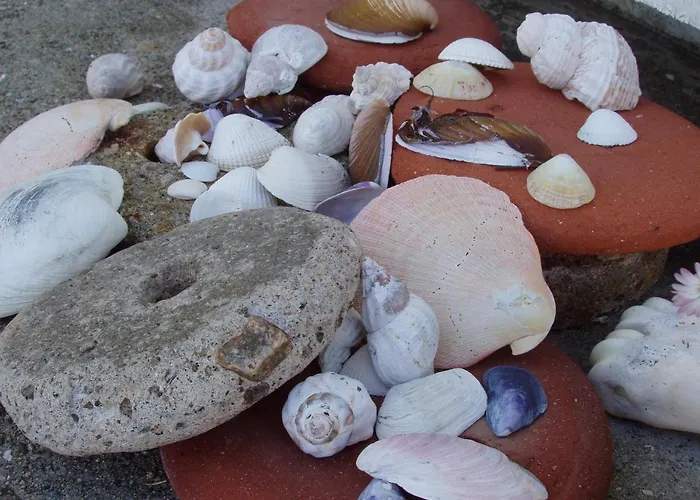 Villa Lofoten - The Saltery